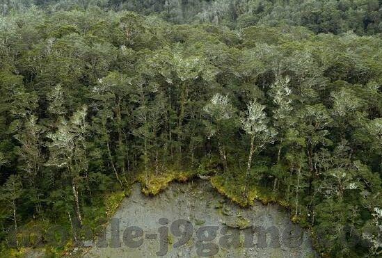 777水果机安卓版下载-777水果机安卓版下载，体验全新水果机游戏的乐趣