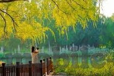 竞猜足球打比分-竞猜足球比分，一场智慧与运气的双重博弈