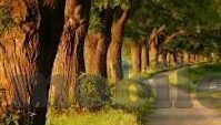 乐鱼体育官方信誉好-乐鱼体育，官方信誉铸就完美体育体验